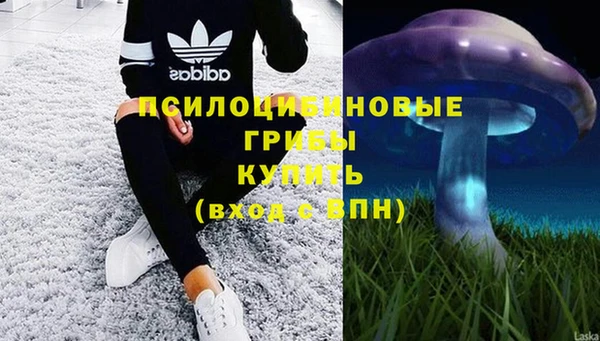 MDMA Premium VHQ Алзамай