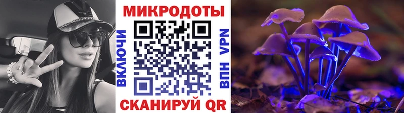 наркошоп  Зерноград  Галлюциногенные грибы прущие грибы 