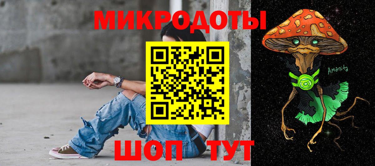 Зерноград  Псилоцибиновые грибы Psilocybe  Вход с VPN 