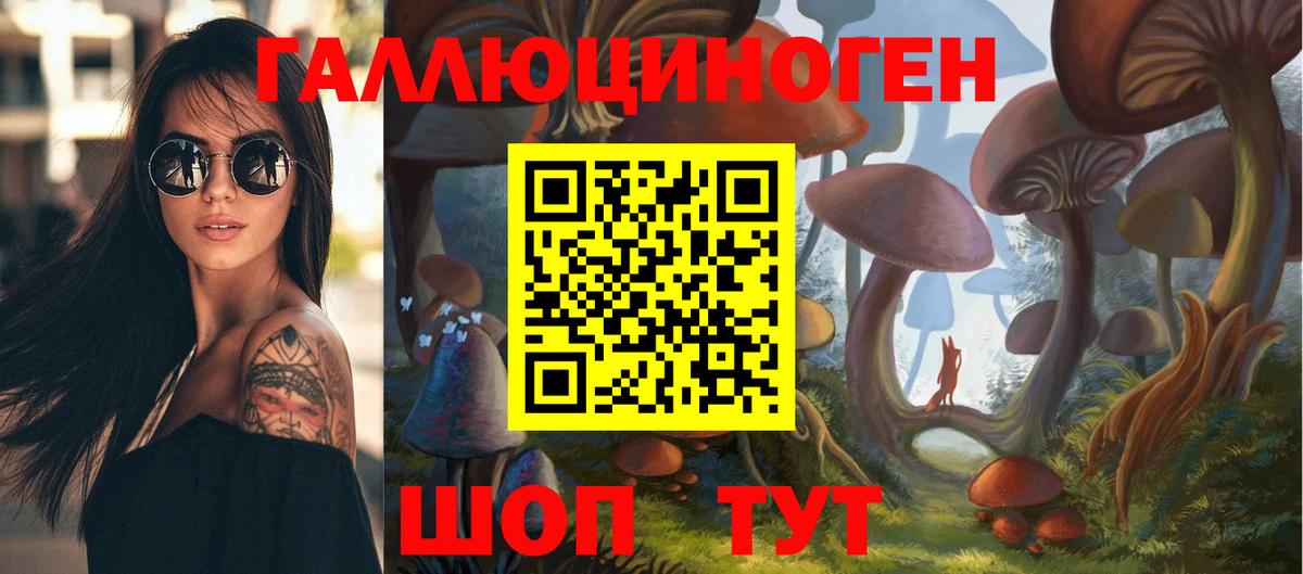 Галлюциногенные грибы Cubensis Зерноград