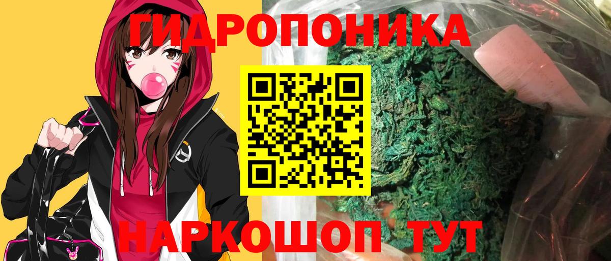 Конопля Зерноград